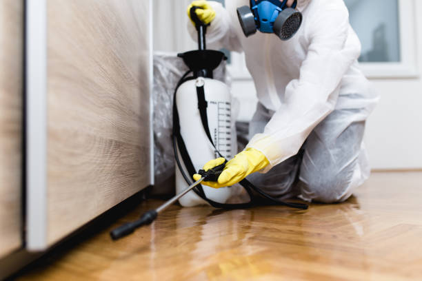 Best Affordable Pest Control Services  in Westville, IN