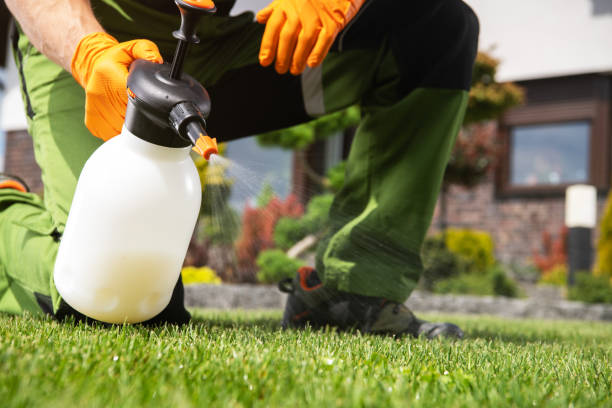 Best Exterminator Services  in Westville, IN